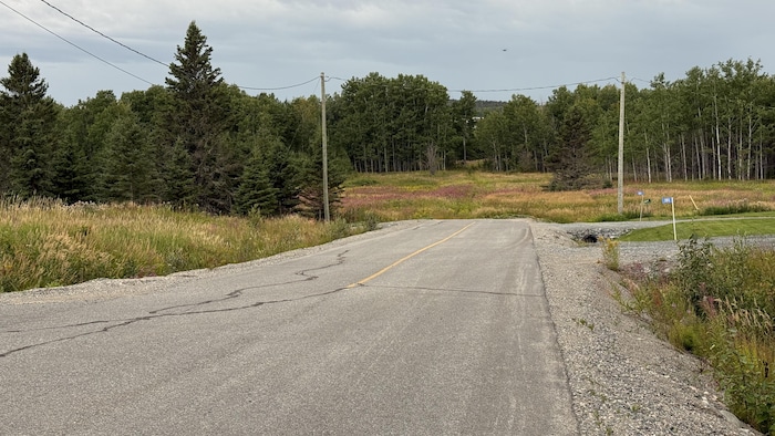 Le bout d'une rue, un champ et un boisé.