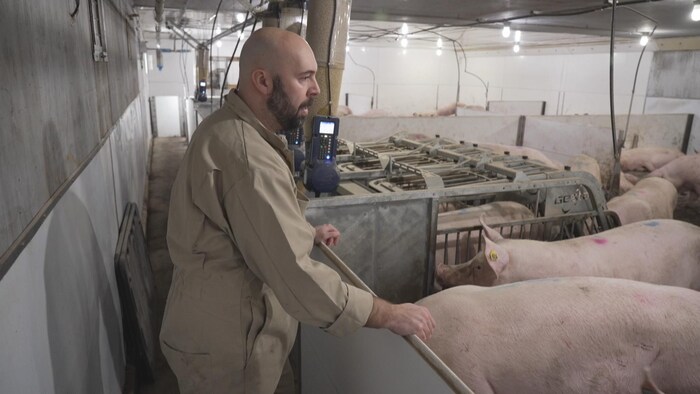 Le producteur de porcs Louis-Philippe Roy dans sa ferme de Saint-Michel-de-Bellechasse, où il produit 6000 porcs par an.