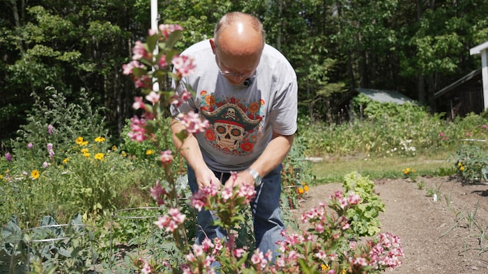Un homme fait du jardinage
