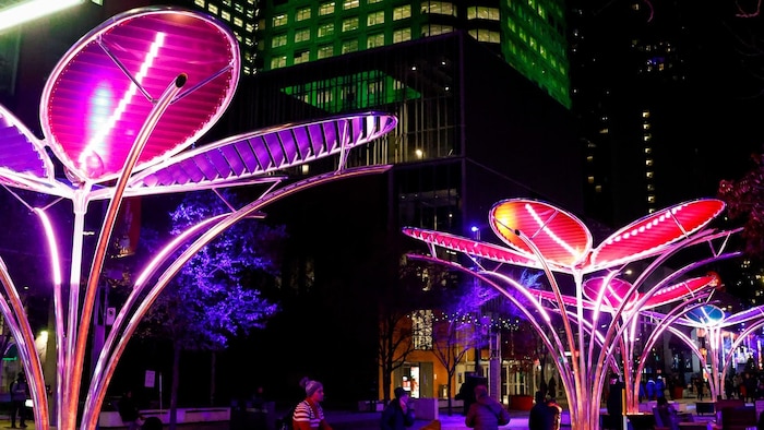 Des installations lumineuses dans une ville. 