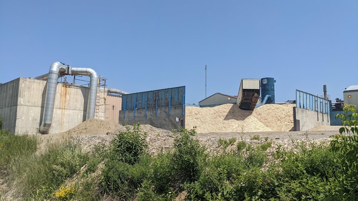 Du brin de scie en amoncellement à l'extérieur de l'usine LVL Global.