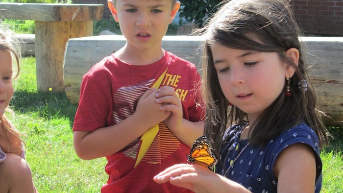 De jeunes élèves observent un papillon monarque posé sur la main d'une petite fille.