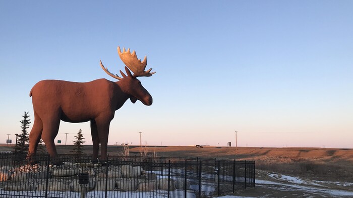 Mac l'orignal de Moose Jaw.