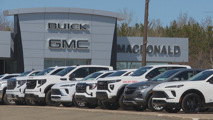 Plusieurs voitures stationnées chez un concessionnaire de Moncton