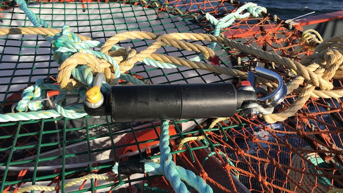 Un maillon faible est accroché à une corde et déposé sur une cage de crabe.