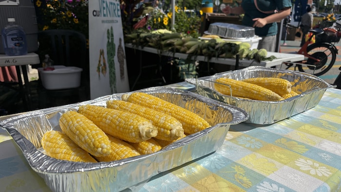 Des épis de maïs attendent de trouver preneur au marché.