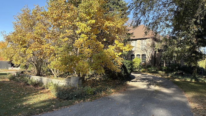 Une grande maison est bloquée de vue par des arbustes.