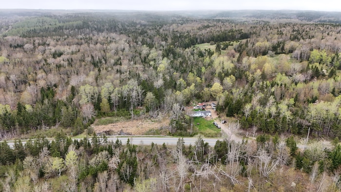 Une photo de drone de la maison des enfant entourés de bois.
