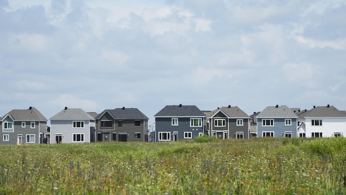 Une rangée de maisons récemment construites à Ottawa, en Ontario, le 14 août 2023.