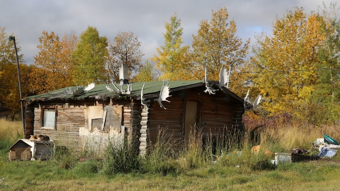 Une cabane de bois rond est décoré de bois d'orignaux dans une réserve autochtone.
