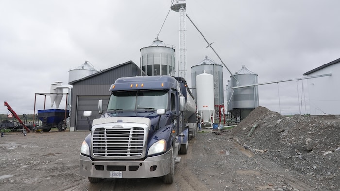 Un camion devant des silos de grains.