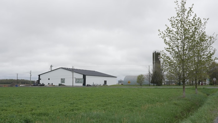 Un immense bâtiment agricole au milieu d'un champ de blé.
