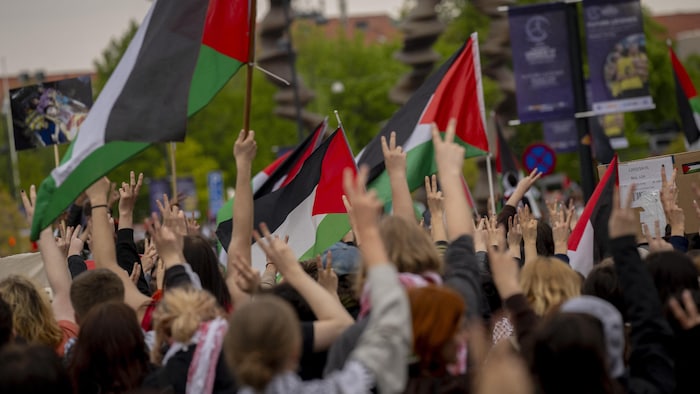 Un groupe de manifestants faisant des signes de la paix et tenant des drapeaux palestiniens.