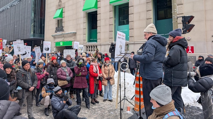 Des manifestants tiennent des pancartes. 