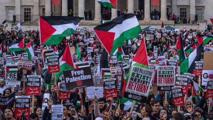 Des manifestants avec des drapeaux. 
