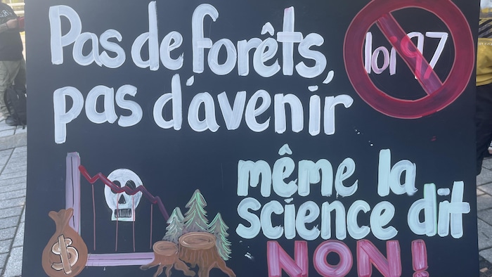 Manifestation de militants autochtones à Québec contre le projet de loi ...