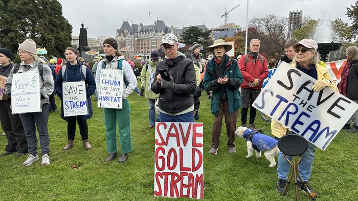Des personnes avec des pancartes pour la protection des saumons et du ruisseau.