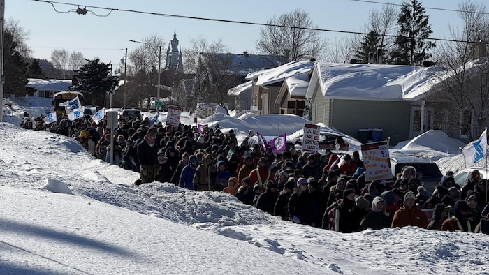 Des dizaines de personnes marchent dans une rue résidentielle en hiver. Plusieurs pancartes et drapeaux sont visibles.
