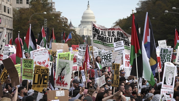 Des manifestants dans les rues à Washington avec des pancartes.