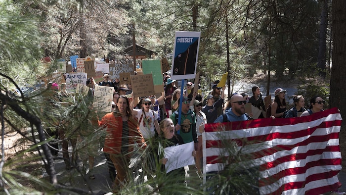 Des manifestants se promènent dans la forêt avec leurs pancartes.