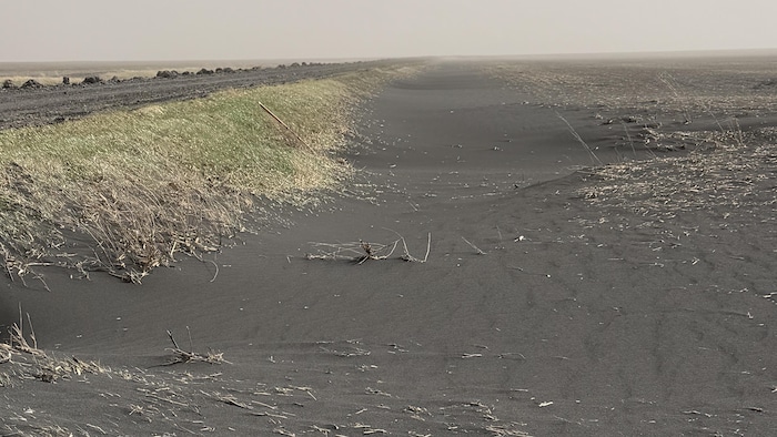 Un chemin de terre agricole couvert de poussière.