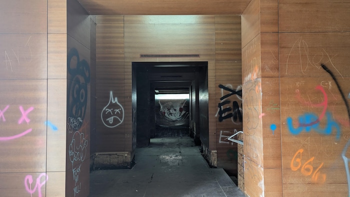Une série de murs en bois couverts de graffitis.