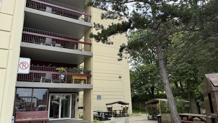 Un immeuble avec balcons à côté d'un pin. 
