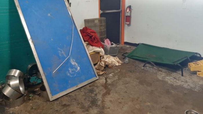 Une pièce du chenil remplie de détritus.