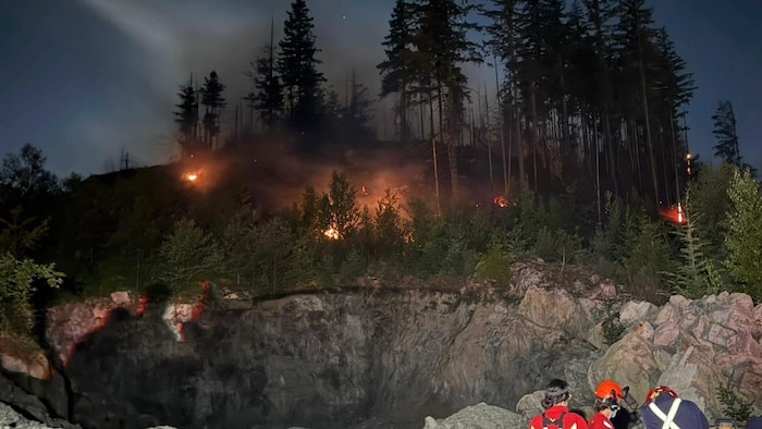 Trois personnes se préparent à lutter contre un feu de forêt.
