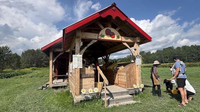Un kiosque de légumes. 