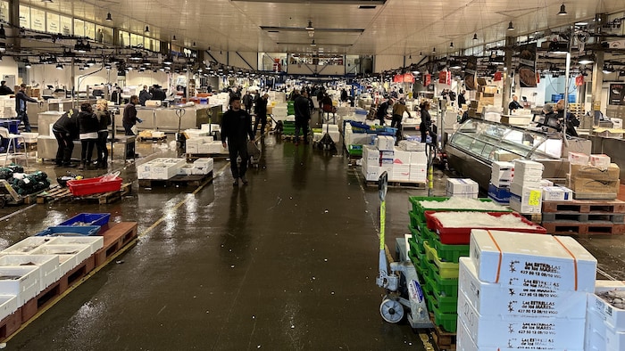 Le Marché de Mercabarna
