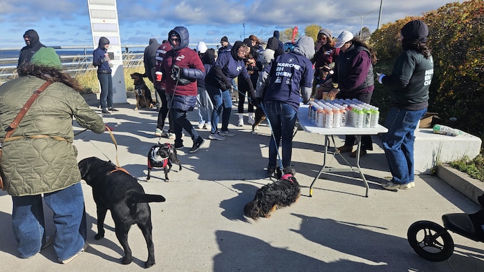 Un groupe de marcheurs avec leurs chiens prennent une pause. 