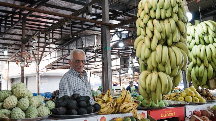 Un marchand de fruits derrière son étal de fruits variés : bananes, avocats, poires, pommes, etc.