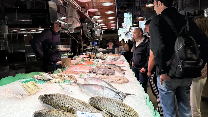 Des poissons sur un lit de glace dans un marché de Barcelone. 