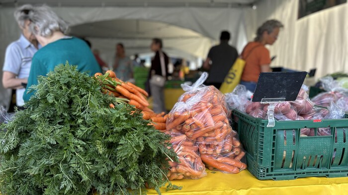 Des clients du marché public de Rouyn-Noranda regardent les produits près de carottes et de patates.