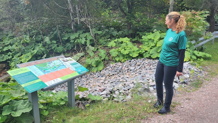 Une femme qui regarde le parc marécageux.