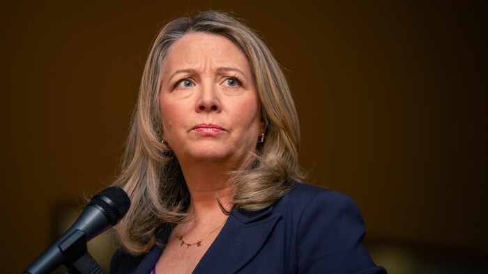 La chef du NPD Marit Stiles parle aux journalistes à Queen's Park le 3 avril 2026.