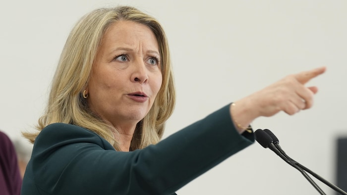La cook  du NPD, Marit Stiles, montre du doigt lors d'une conférence de presse.