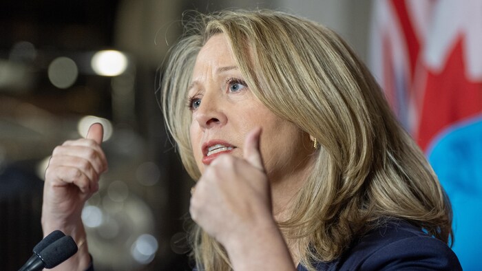 La cheffe Marit Stiles, du NPD, en point de presse le 3 février 2025.