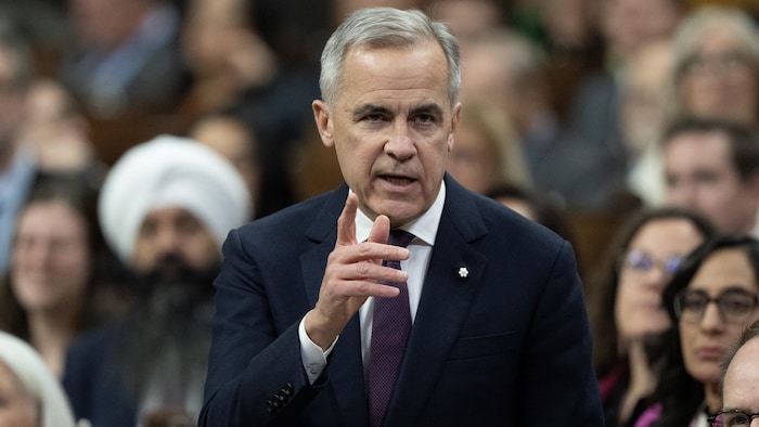 Le gouvernement Carney survit au vote de confiance sur son premier budget |  Radio-Canada