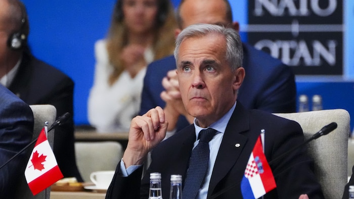 Mr. Carney attentive. ottawa considering new defense partnership