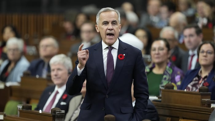 M. Carney, debout, lève un doigt en prenant la parole.