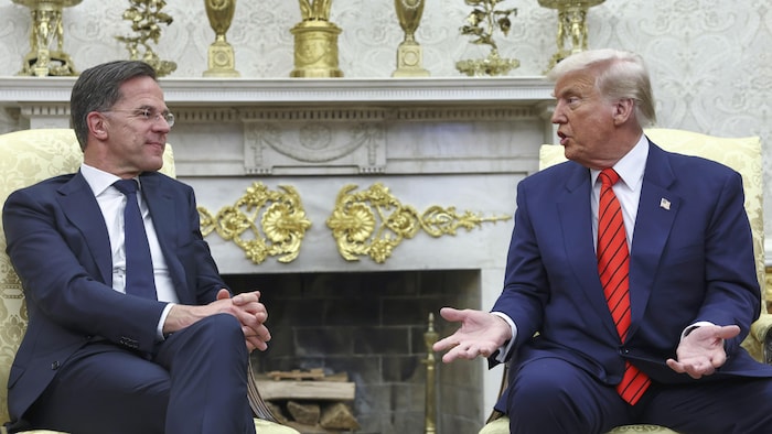NATO is heard on a 5 % threshold of GDP dedicated to defense, except for Spain NATO is heard on a 5 % threshold of GDP dedicated to defense, except for Spain