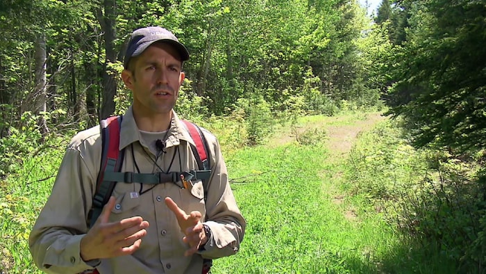 Martin-Hugues Saint-Laurent se tient dans un ancien chemin forestier bordé de feuillus et de conifères, en été.