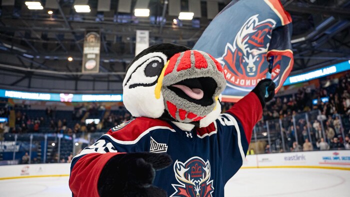 Une mascotte poilue représentant un macareux et portant un chandail de hockey est sur la patinoire et agite un drapeau décoré du logo du club qu'elle représente.