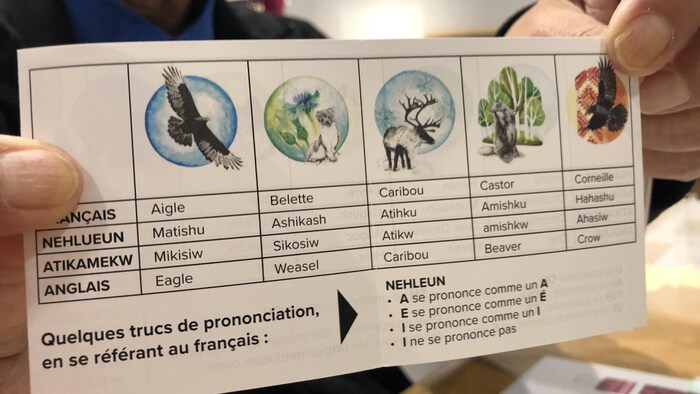 Une feuille avec des traductions de noms d'animaux.