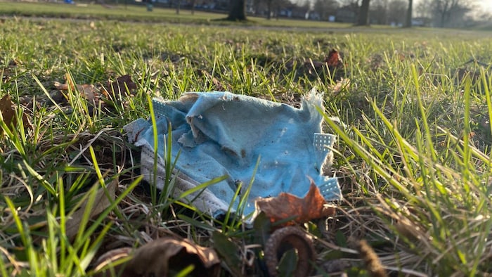Un masque sanitaire jeté sur l'herbe, près d'un sentier de marche. 