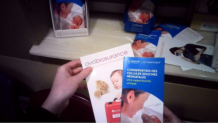 Une femme tient une brochure dans ses mains.