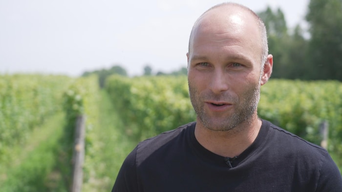 Un homme répond à des questions dans un vignoble.