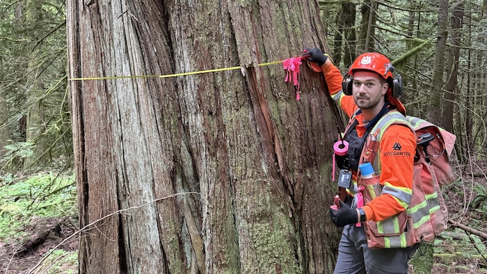 Max Normand devant un grand arbre avec un mètre autour de l'arbre pour le mesurer.